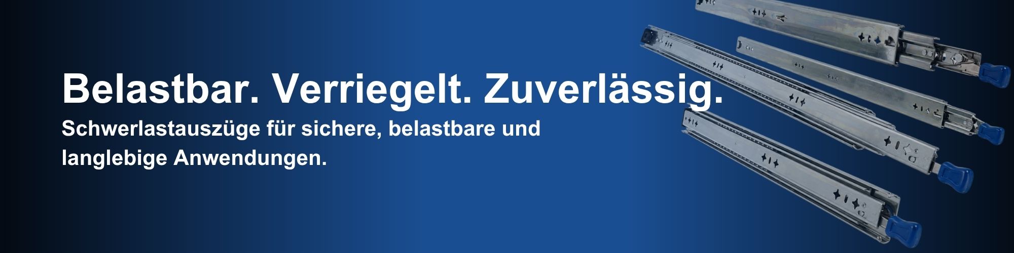 Schwerlastauszüge bis 100 Kg Traglast